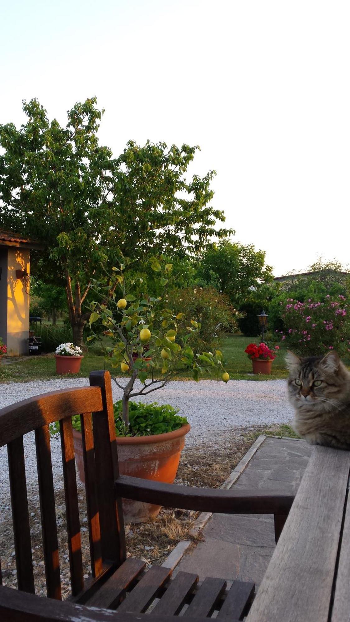 Agriturismo Podere La Cascata Villa Massa Marittima Eksteriør bilde