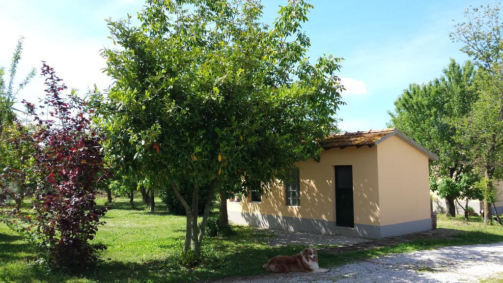 Agriturismo Podere La Cascata Villa Massa Marittima Eksteriør bilde