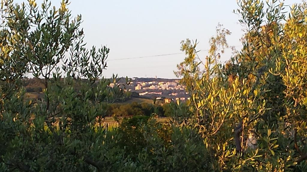 Agriturismo Podere La Cascata Villa Massa Marittima Eksteriør bilde