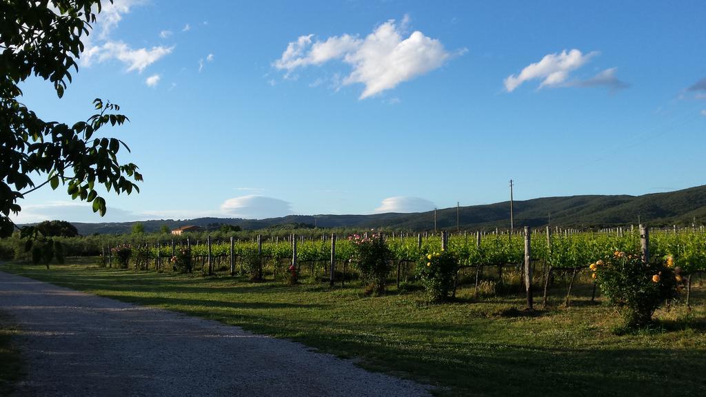 Agriturismo Podere La Cascata Villa Massa Marittima Eksteriør bilde