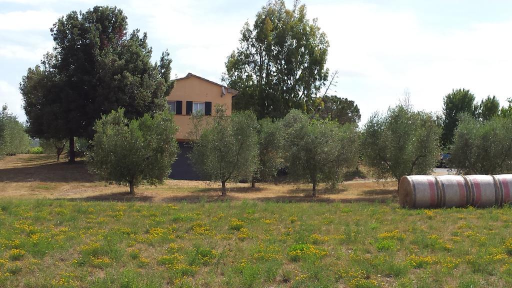 Agriturismo Podere La Cascata Villa Massa Marittima Eksteriør bilde